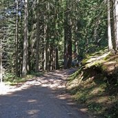 sentiero da passo costalunga a moena