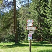 sentiero da passo costalunga a moena presso malga roncac