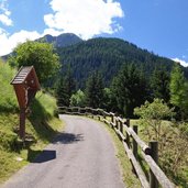 sentiero da someda verso val san pellegrino