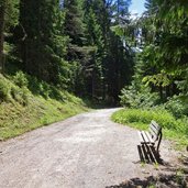 sentiero da someda verso val san pellegrino