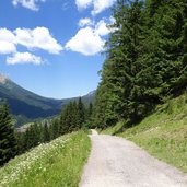 sentiero da someda verso val san pellegrino