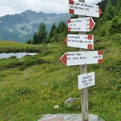 segnavia sentieri presso rifugio orso bruno monte vigo di commezzadura folgarida