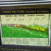 trodo dei fiori tavola informativa sentiero botanico