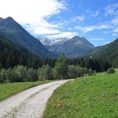 strada forestale per malga del pece vermiglio