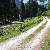 strada forestale per malga del pece vermiglio