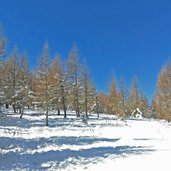 ultimi scorci di bosco e quasi arrivati in cima