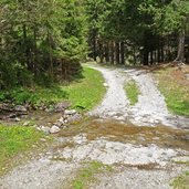 strada forestale per malga del pece vermiglio