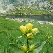 i tre laghi della presanella