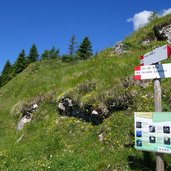 trodo dei fiori segnavia