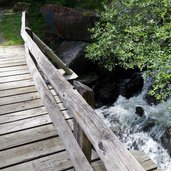 vermiglio strada forestale da malga pece a passo del tonale