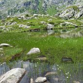 i tre laghi della presanella