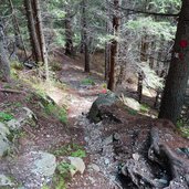 vermiglio sentiero da malga pece a passo del tonale