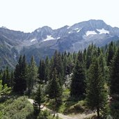 val presena e vista verso vedretta busazza gruppo presanella