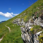 trodo dei fiori