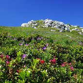 trodo dei fiori al col della boia