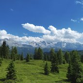 dolomiti di brenta visti da monte vigo