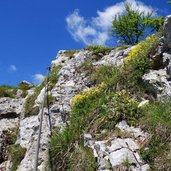 sentiero trodo dei fiori