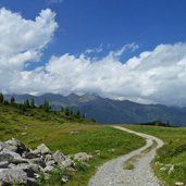 sentiero per malga panciana presso monte vigo