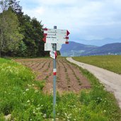 sentiero per capanna biaena