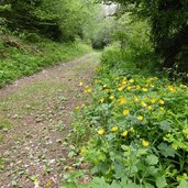 sentiero per capanna biaena