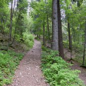 sentiero per capanna biaena