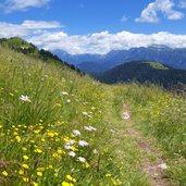 sentiero trodo dei fiori