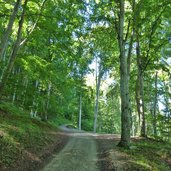 comano strada salita monte casale