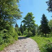 comano strada salita monte casale