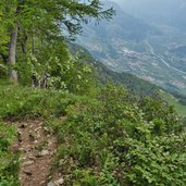 vallagarina da sentiero monte biaena