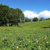 prati del monte casale