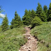 sentiero per monte oltnmonn e ruioch