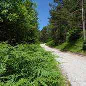 comano strada salita monte casale