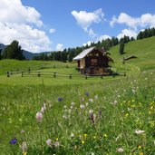 prati e baite presso malga canvere sentiero