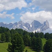 prati presso malga canvere vista verso gruppo delle pale fr