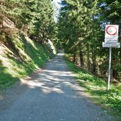 sentiero per malga campo di caderzone