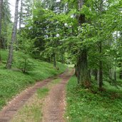 sentiero da valdonega verso lago di vedes