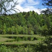 lago laghetto di vedes