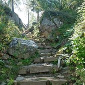 sentiero per malga san giuliano