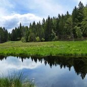 biotopo prati di monte al lago di valda