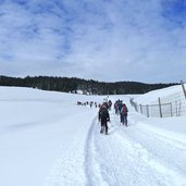 ciaspole presso malga zonta folgaria