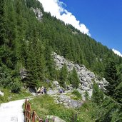 sentiero lago di malga bissina