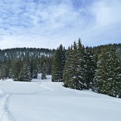 anello sci fondo sul percorso malga zonta monte maggio folgaria inverno