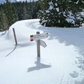 percorso per ciaspole malga zonta monte maggio folgaria inverno sentiero