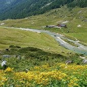 malga val di fumo