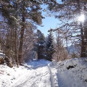 sentiero predaia inverno