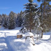 sentiero predaia inverno