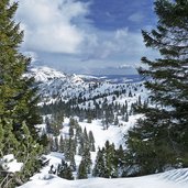 boschi e neve vicino a passo coe folgaria