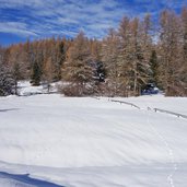 predaia inverno prati presso busa da spin