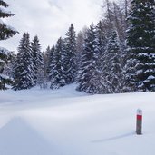 sentiero presso malga rodeza inverno