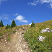 sentiero per rifugio sasso piatto